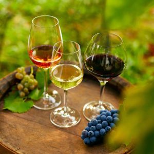 Home Premium Wine Day Casablanca Valley