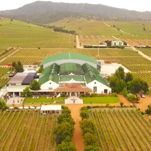 Enólogo por um dia - Casas del Bosque