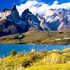 Patagonia torres del paine: full day experience