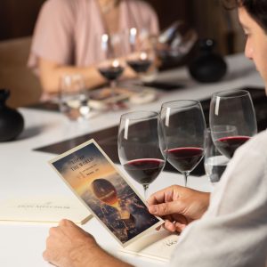 Enoturismo don melchor 2021, top of the world min