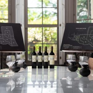 Enoturismo don melchor collectors experience min