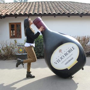 Enoturismo viÑa undurraga + isla negra + algarrobo