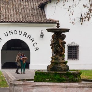 Enoturismo viÑa undurraga rotachile.cl